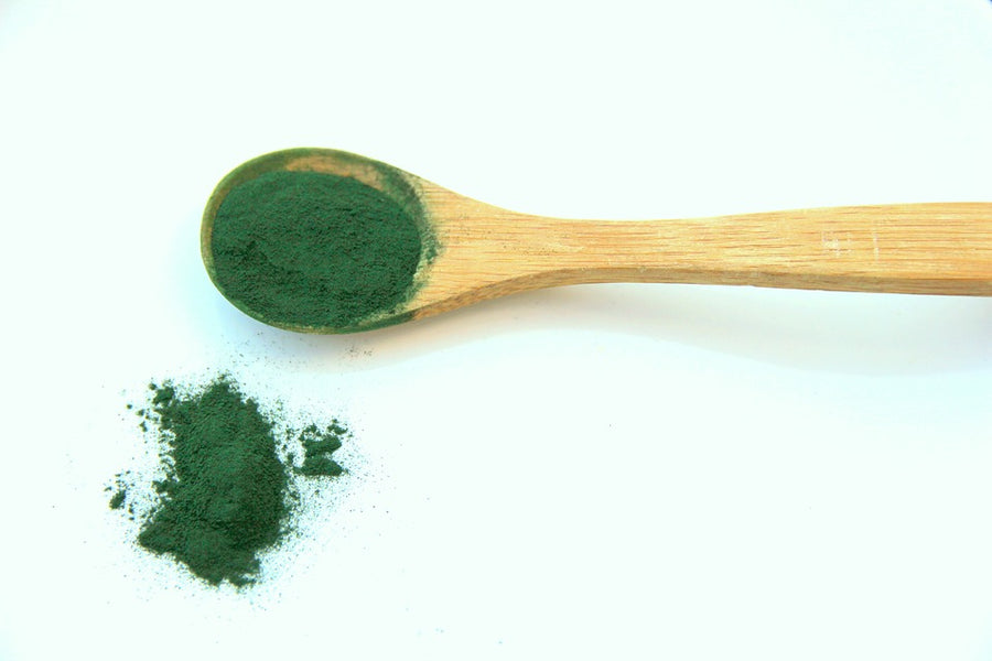 La spiruline - Quésaco ? 🌱