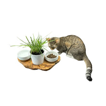 Charger l'image dans la galerie, Station d'alimentation RUSTY 2x bols en porcelaine de 0,4 litre plus pot pour herbe à chat en bois d'olivier
